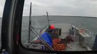 Landingsfartøy, tank til salgs