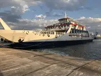 Ro-Ro ship til salgs