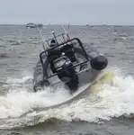 Containerskip til salgs