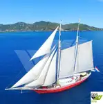Cruise skip til salgs