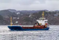 Bulktransportør til salgs