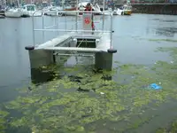 Containerskip til salgs