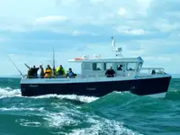 Katamaran til salgs