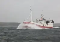 Trawler til salgs