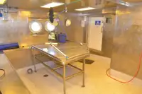 Containerskip til salgs