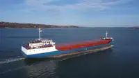 Bulktransportør til salgs