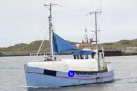 Langlinjetråler til salgs