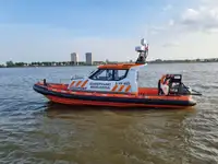 Containerskip til salgs