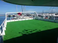 Cruiseskip til salgs