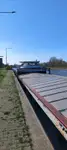 Bulktransportør til salgs