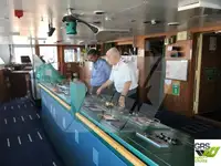 Cruiseskip til salgs