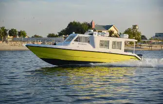 Cruiseskip til salgs