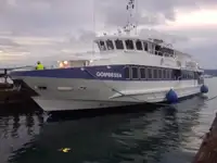 Passasjerskip til salgs