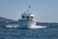Fergefartøy til salgs