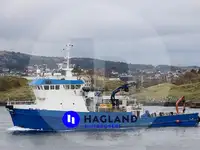 Dykkestøtte til salgs