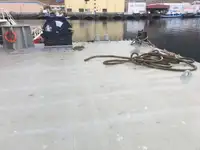 Flåte til salgs