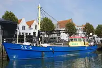Trawler til salgs