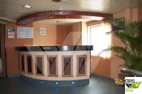 Ro-Ro ship til salgs