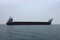 Landingsfartøy, tank til salgs