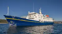 Cruise skip til salgs