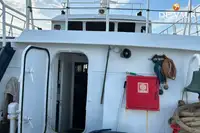 Cruiseskip til salgs
