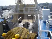 Levende fiskebåt til salgs