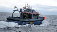 Containerskip til salgs