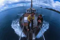 Dredge til salgs