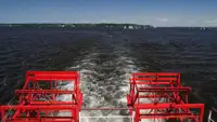 Containerskip til salgs