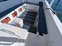 Cruiseferge til salgs