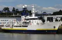 Containerskip til salgs
