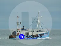 Levende fiskebåt til salgs