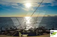 Cruiseskip til salgs