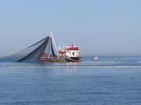 Fiskefartøy til salgs