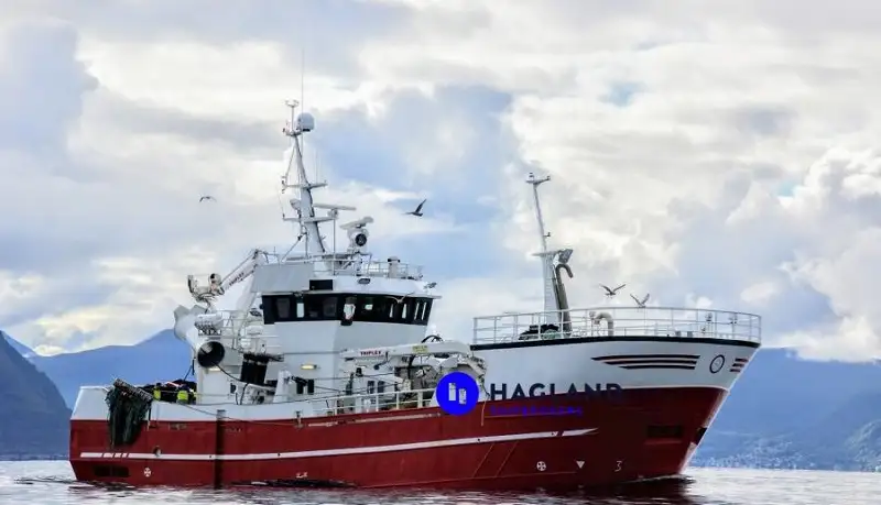 Purse-seine trålerfartøy til salgs
