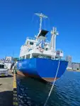 Bulktransportør til salgs