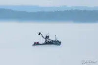 Snurpenottråler til salgs
