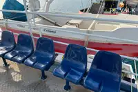 Cruiseskip til salgs