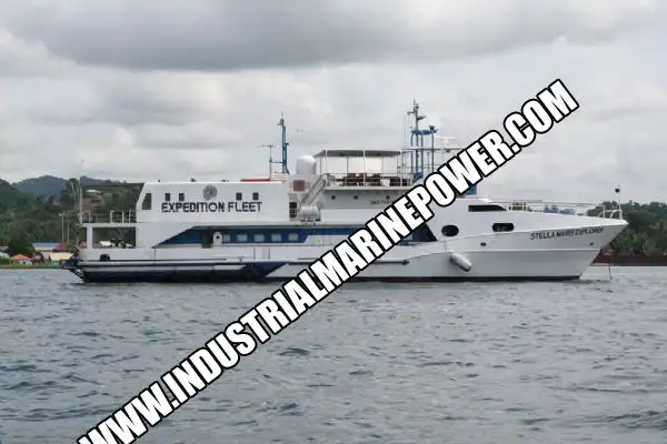 Cruiseskip til salgs