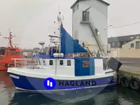 Levende fiskebærer til salgs