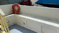 Cruiseskip til salgs