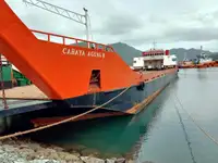 Landingsfartøy, tank til salgs