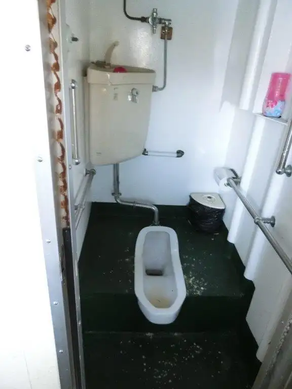 Cruiseskip til salgs