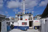 Katamaran til salgs