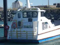 Landingsfartøy, tank til salgs