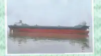 Containerskip til salgs
