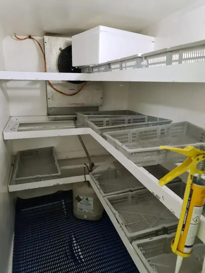 Langlinjetråler til salgs