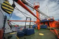 Containerskip til salgs