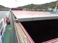 Bulktransportør til salgs