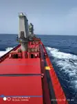 Bulktransportør til salgs